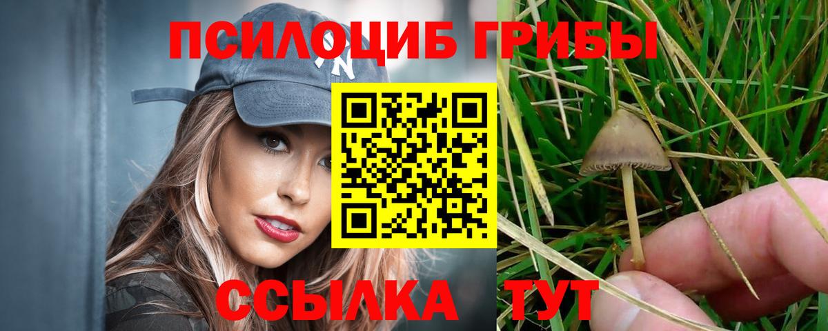 Галлюциногенные грибы Cubensis  Вход с VPN  Урюпинск 